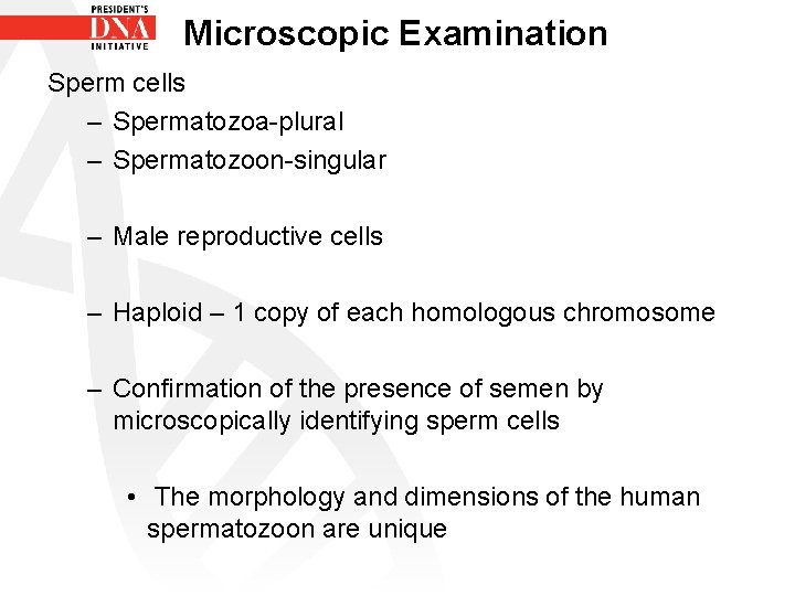 Microscopic Examination Sperm cells – Spermatozoa-plural – Spermatozoon-singular – Male reproductive cells – Haploid