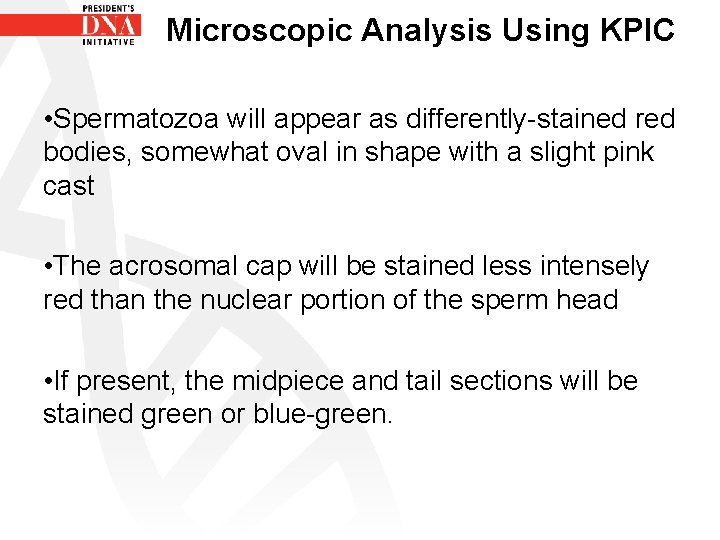 Microscopic Analysis Using KPIC • Spermatozoa will appear as differently-stained red bodies, somewhat oval