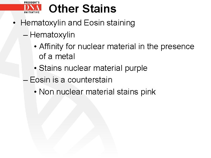 Other Stains • Hematoxylin and Eosin staining – Hematoxylin • Affinity for nuclear material