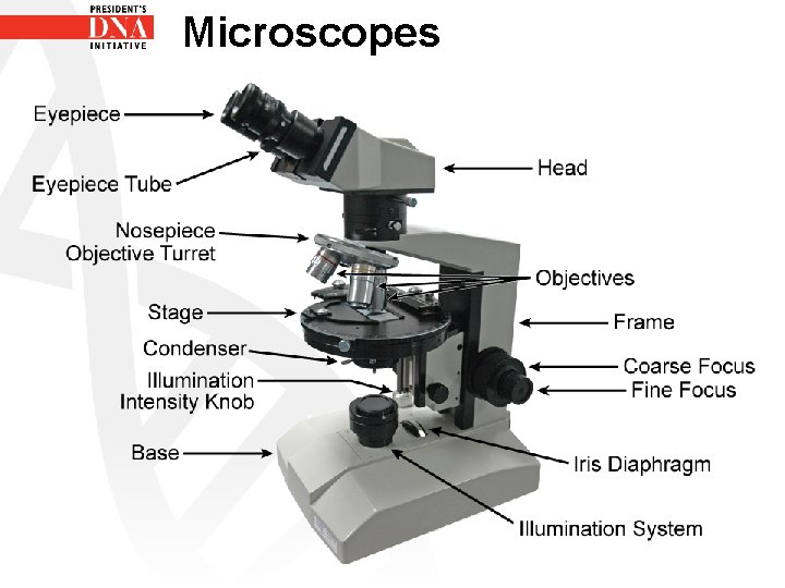 Microscopes 