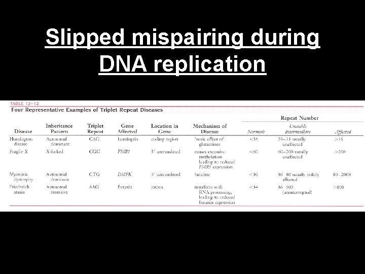 Slipped mispairing during DNA replication 
