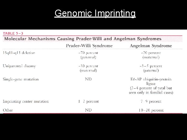 Genomic Imprinting 