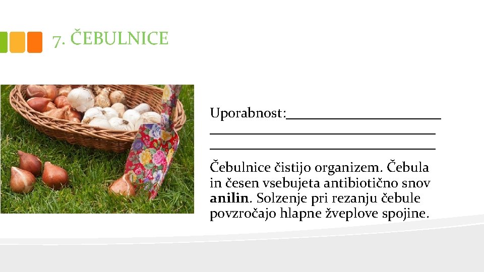 7. ČEBULNICE Uporabnost: ___________________________ Čebulnice čistijo organizem. Čebula in česen vsebujeta antibiotično snov anilin.