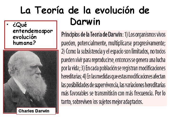  • La Teoría de la evolución de Darwin ¿Qué entendemospor evolución humana? Charles