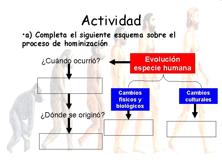 Actividad • a) Completa el siguiente esquema sobre el proceso de hominización ¿Cuándo ocurrió?