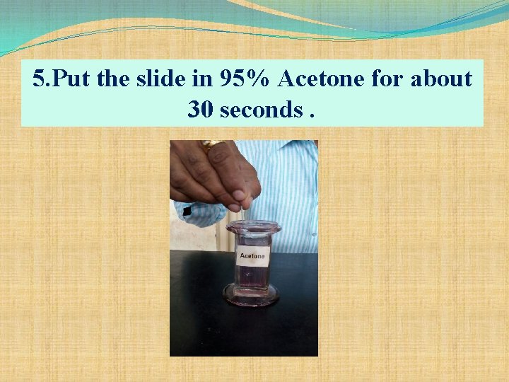 5. Put the slide in 95% Acetone for about 30 seconds. 