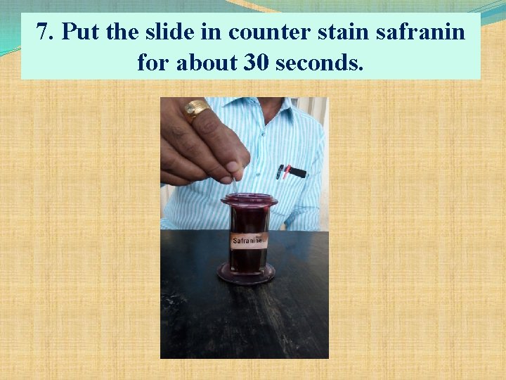 7. Put the slide in counter stain safranin for about 30 seconds. 