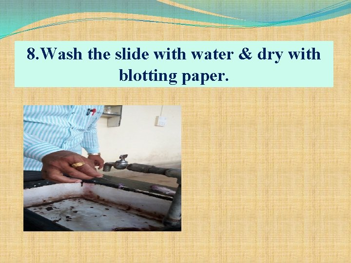 8. Wash the slide with water & dry with blotting paper. 