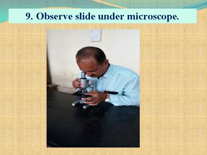 9. Observe slide under microscope. 