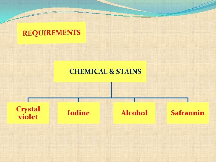 REQUIREMENTS CHEMICAL & STAINS Crystal violet Iodine Alcohol Safrannin 