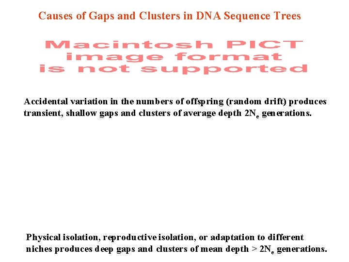Causes of Gaps and Clusters in DNA Sequence Trees Accidental variation in the numbers