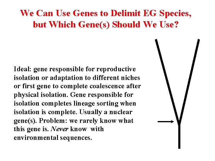 We Can Use Genes to Delimit EG Species, but Which Gene(s) Should We Use?