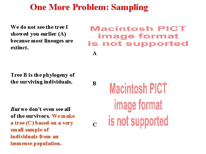 One More Problem: Sampling We do not see the tree I showed you earlier