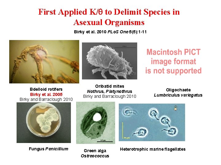 First Applied K/q to Delimit Species in Asexual Organisms Birky et al. 2010 PLo.