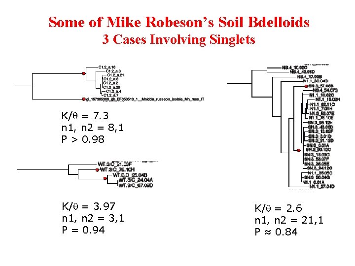 Some of Mike Robeson’s Soil Bdelloids 3 Cases Involving Singlets K/ = 7. 3