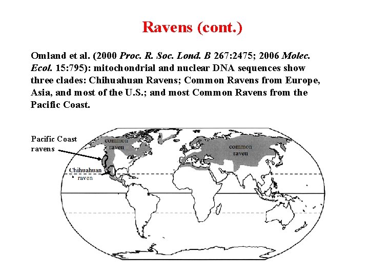 Ravens (cont. ) Omland et al. (2000 Proc. R. Soc. Lond. B 267: 2475;