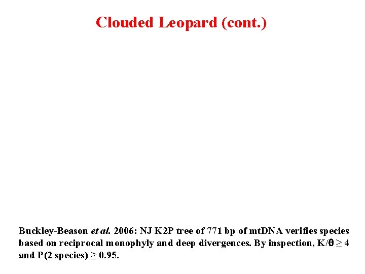 Clouded Leopard (cont. ) Buckley-Beason et al. 2006: NJ K 2 P tree of
