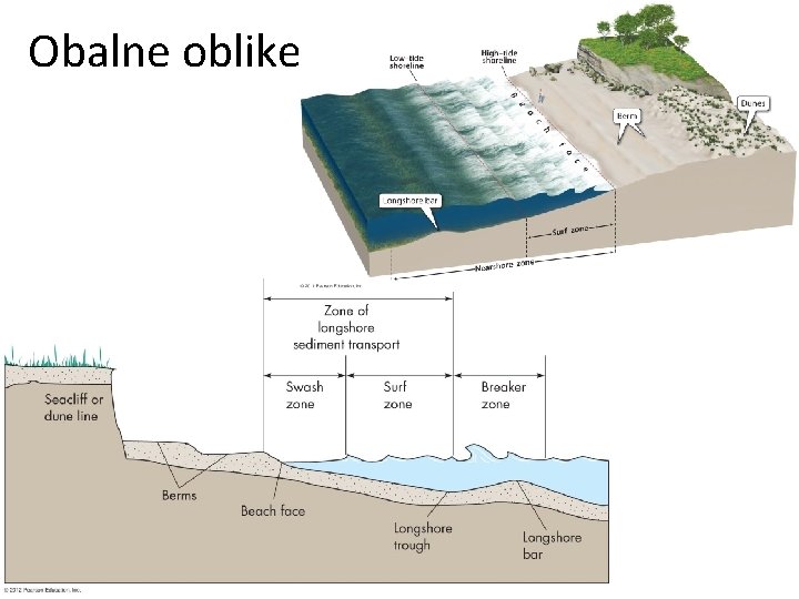 Obalne oblike 