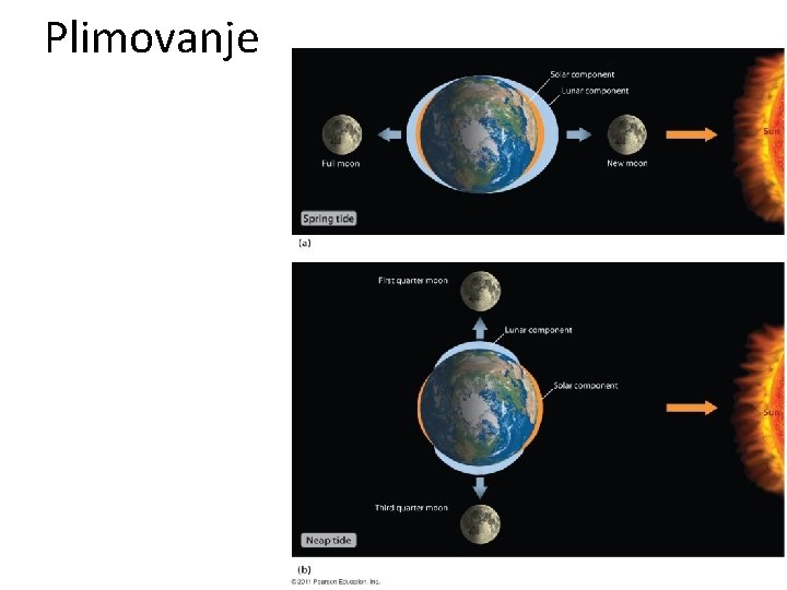 Plimovanje 