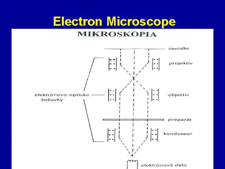 Electron Microscope 