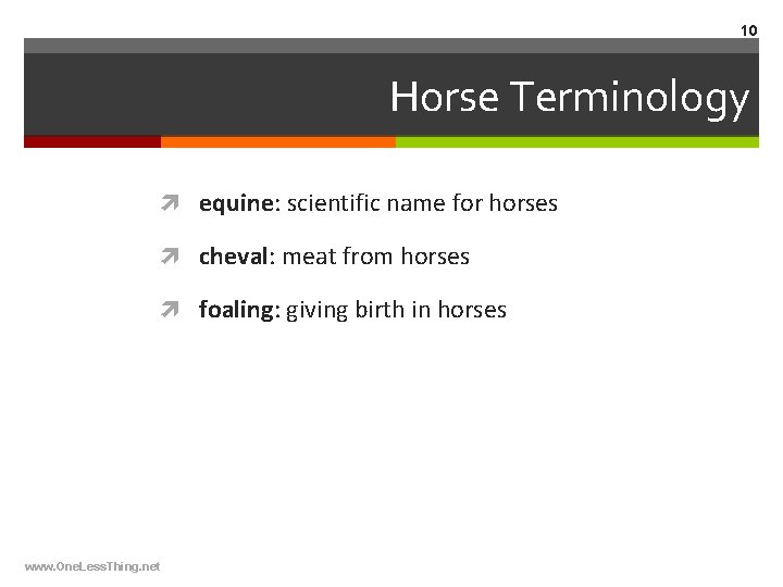 10 Horse Terminology equine: scientific name for horses cheval: meat from horses foaling: giving