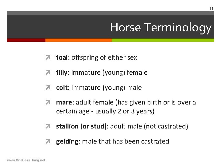 11 Horse Terminology foal: offspring of either sex filly: immature (young) female colt: immature