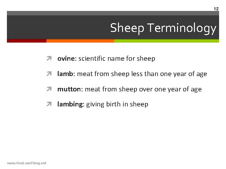 12 Sheep Terminology ovine: scientific name for sheep lamb: meat from sheep less than