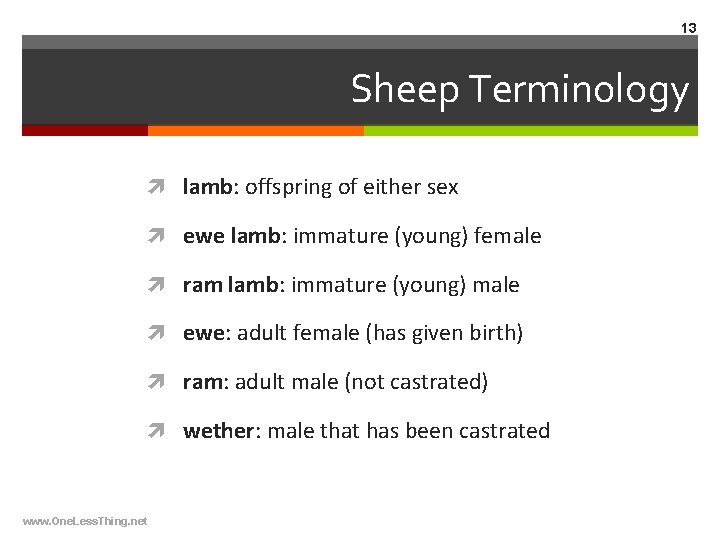 13 Sheep Terminology lamb: offspring of either sex ewe lamb: immature (young) female ram