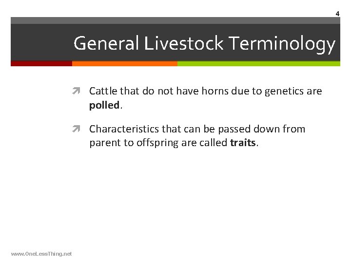 4 General Livestock Terminology Cattle that do not have horns due to genetics are