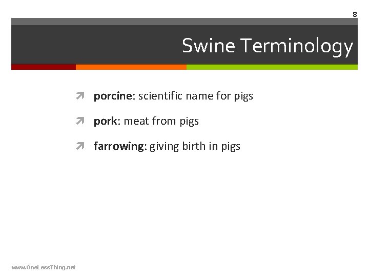 8 Swine Terminology porcine: scientific name for pigs pork: meat from pigs farrowing: giving
