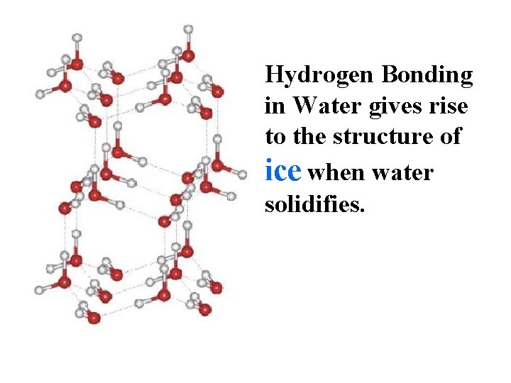 Hydrogen Bonding in Water gives rise to the structure of ice when water solidifies.
