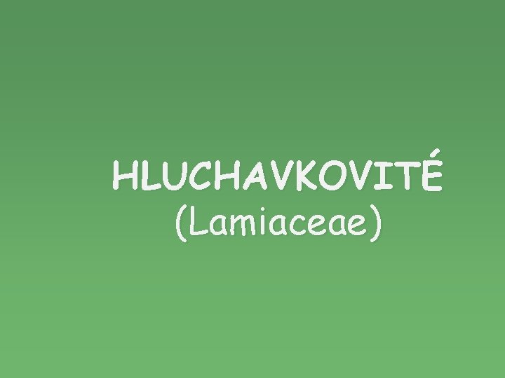 HLUCHAVKOVITÉ (Lamiaceae) 