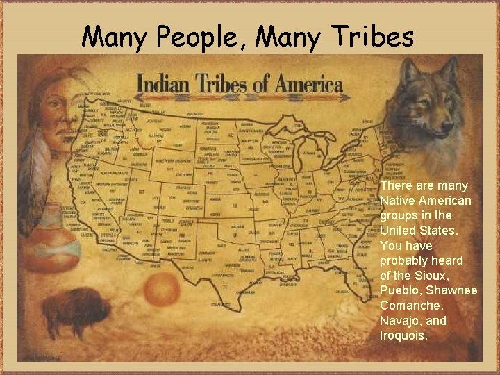 Many People, Many Tribes There are many Native American groups in the United States.