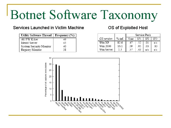 Botnet Software Taxonomy Services Launched in Victim Machine OS of Exploited Host 