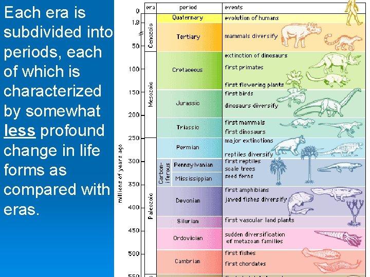 Each era is subdivided into periods, each of which is characterized by somewhat less Each era is subdivided into periods, each of which is characterized by somewhat less