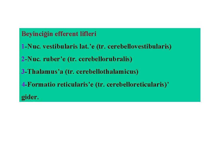 Beyinciğin efferent lifleri 1 -Nuc. vestibularis lat. ’e (tr. cerebellovestibularis) 2 -Nuc. ruber’e (tr.