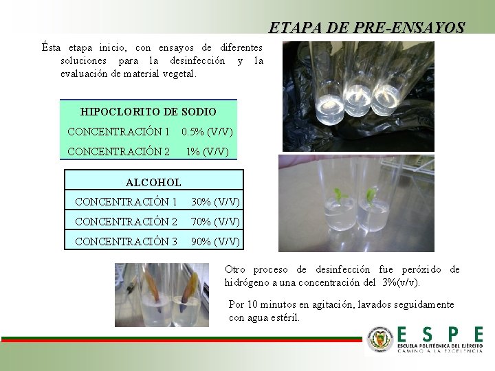 ETAPA DE PRE-ENSAYOS Ésta etapa inicio, con ensayos de diferentes soluciones para la desinfección