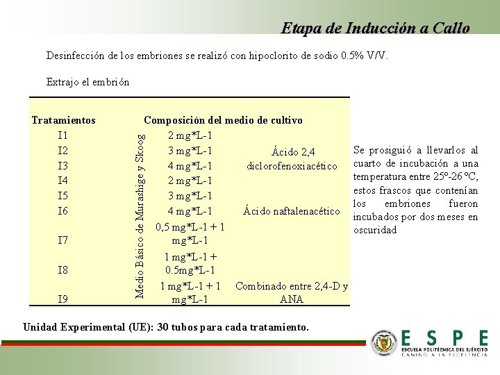 Etapa de Inducción a Callo Desinfección de los embriones se realizó con hipoclorito de