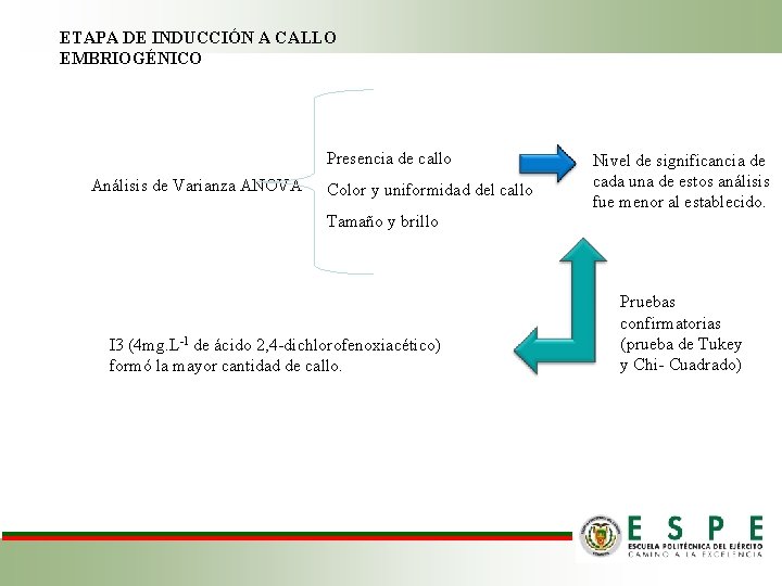 ETAPA DE INDUCCIÓN A CALLO EMBRIOGÉNICO Presencia de callo Análisis de Varianza ANOVA Color