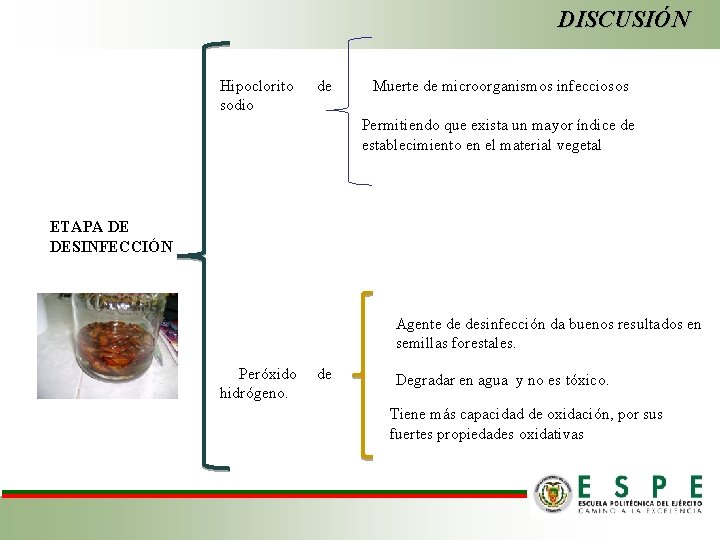 DISCUSIÓN Hipoclorito sodio de Muerte de microorganismos infecciosos Permitiendo que exista un mayor índice