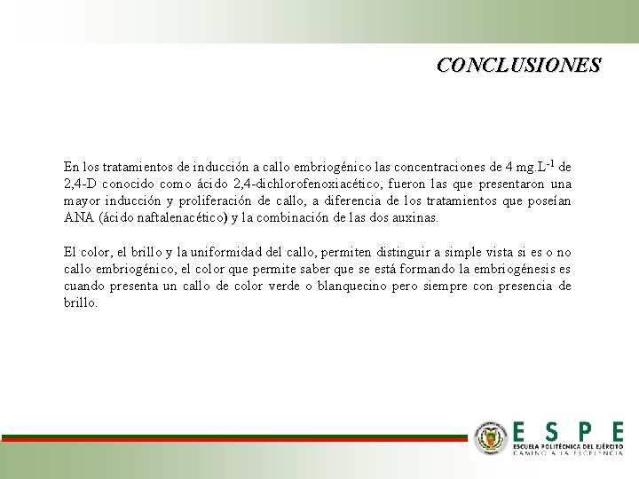 CONCLUSIONES En los tratamientos de inducción a callo embriogénico las concentraciones de 4 mg.