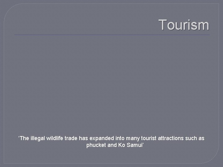 Tourism ‘The illegal wildlife trade has expanded into many tourist attractions such as phucket