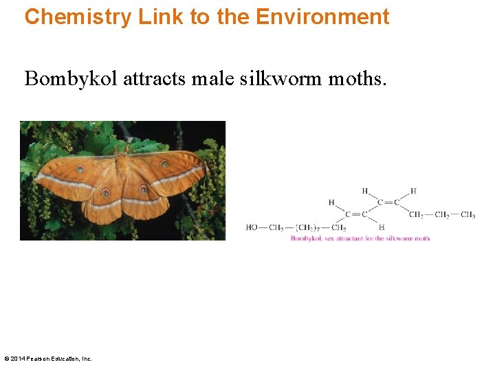 Chemistry Link to the Environment Bombykol attracts male silkworm moths. © 2014 Pearson Education,