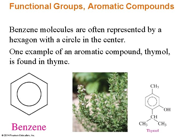 Functional Groups, Aromatic Compounds Benzene molecules are often represented by a hexagon with a