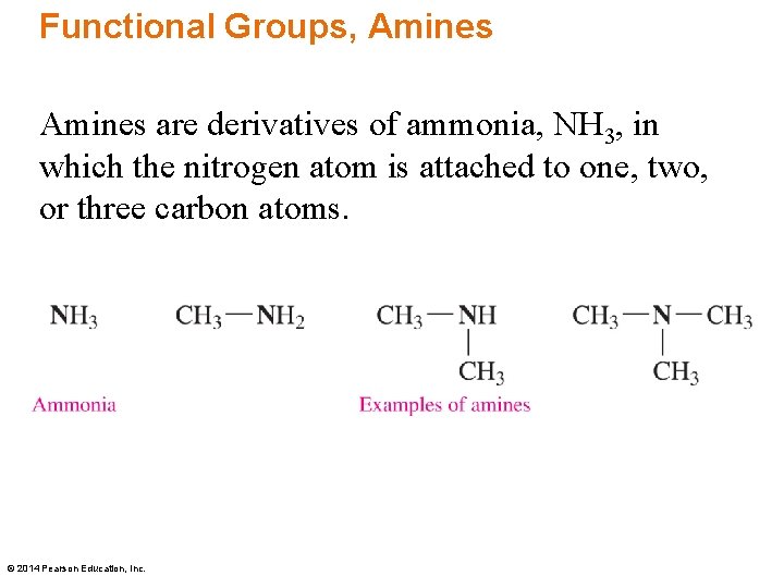 Functional Groups, Amines are derivatives of ammonia, NH 3, in which the nitrogen atom