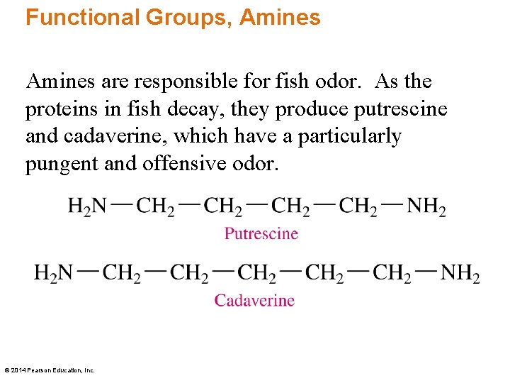 Functional Groups, Amines are responsible for fish odor. As the proteins in fish decay,