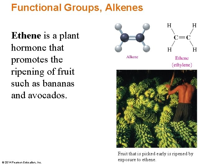 Functional Groups, Alkenes Ethene is a plant hormone that promotes the ripening of fruit