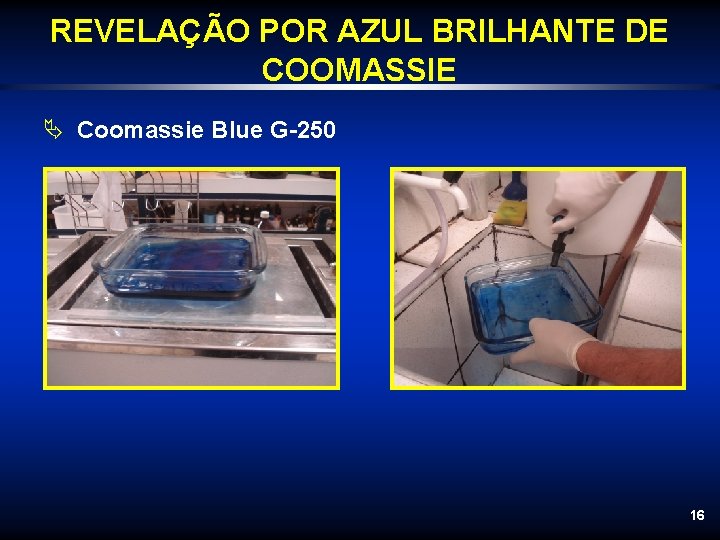 REVELAÇÃO POR AZUL BRILHANTE DE COOMASSIE Ä Coomassie Blue G-250 16 