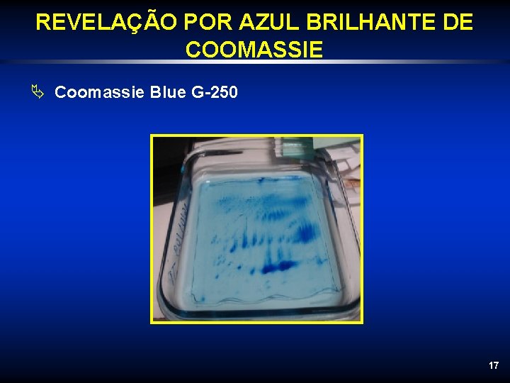 REVELAÇÃO POR AZUL BRILHANTE DE COOMASSIE Ä Coomassie Blue G-250 17 