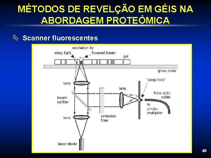 MÉTODOS DE REVELÇÃO EM GÉIS NA ABORDAGEM PROTEÔMICA Ä Scanner fluorescentes 49 